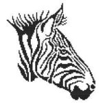 (image for) Tribal Zebra